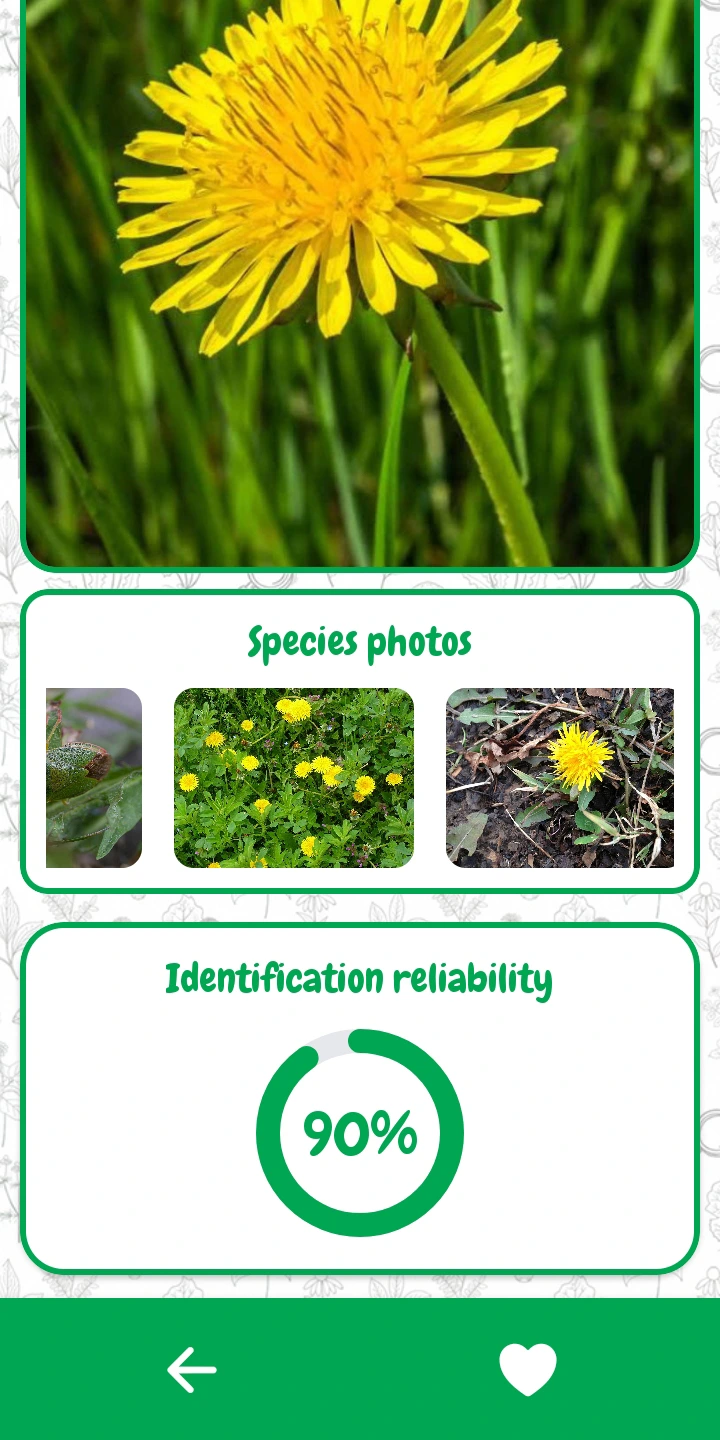 Schermata analisi risultato